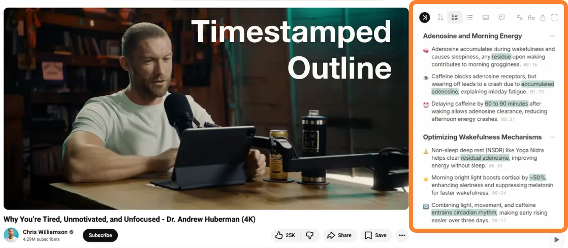 SkipBait Timestamped outline on YouTube