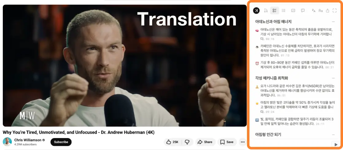 SkipBait Summary Translation tool on YouTube